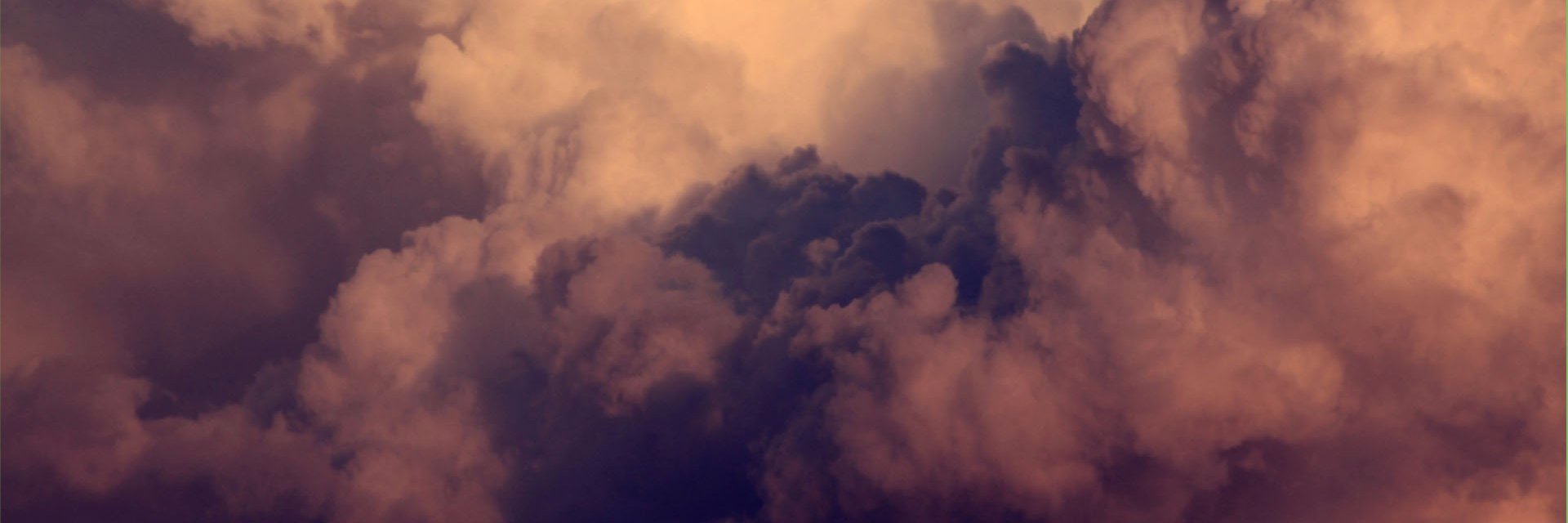 lllElizabeth's profile banner image
