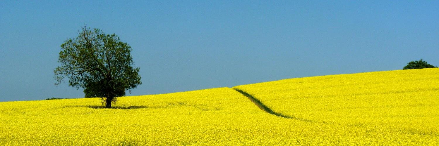 Phillip Fayers banner