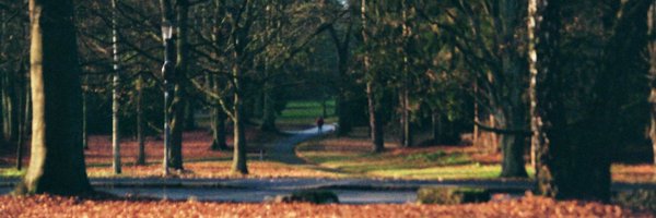CohrsKai Profile Banner