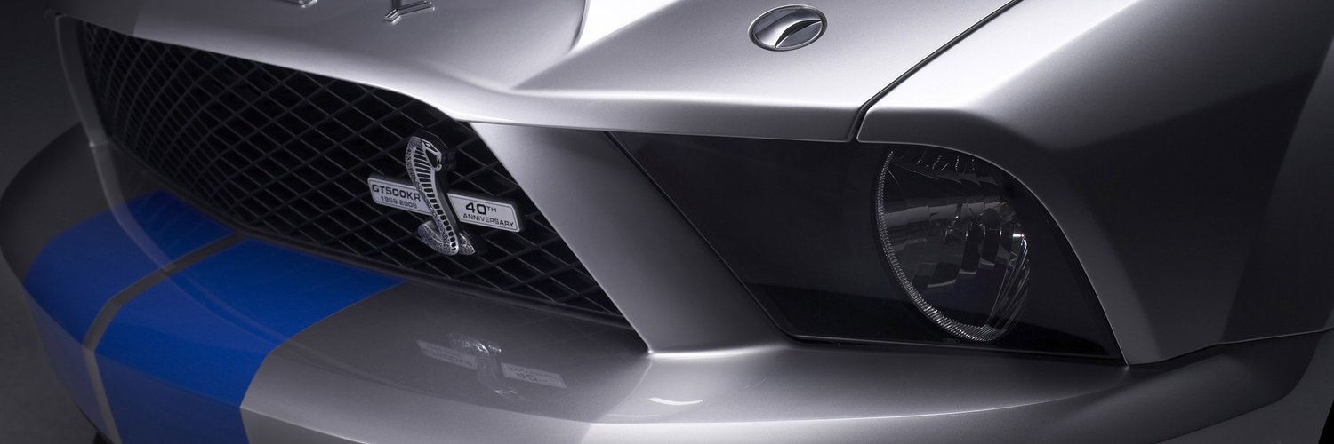 鼻ズル子(えびふらい) banner