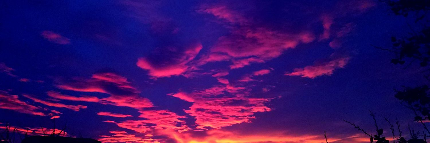 BlaneFrancis's profile banner image
