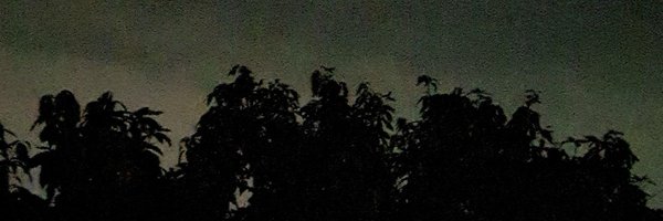 meltedhyperion Profile Banner