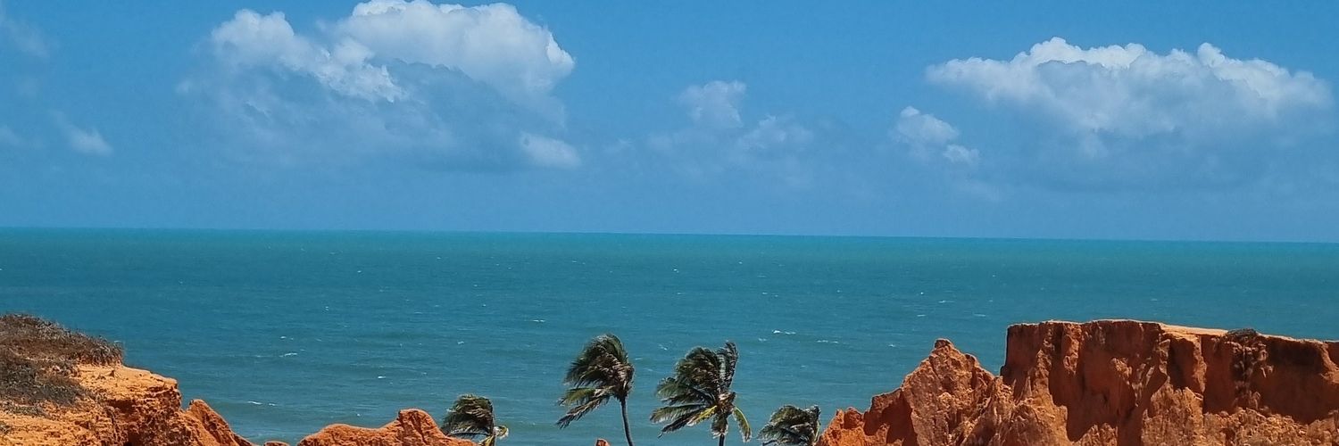 ray ✨️ banner
