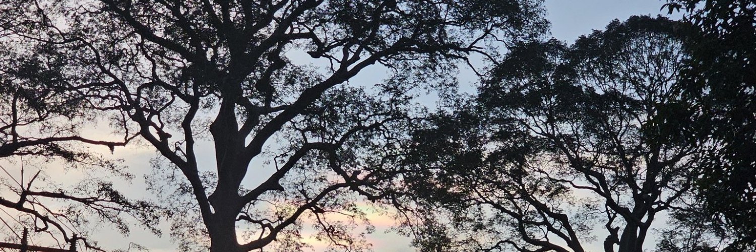 adswary's profile banner image