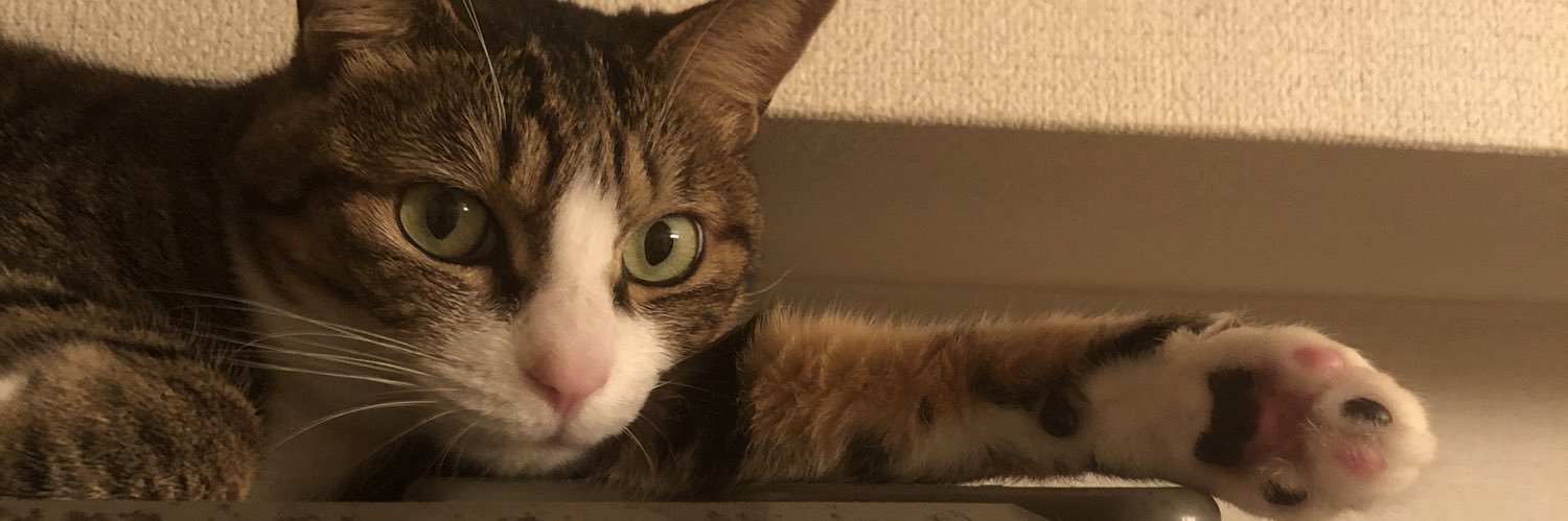 アップリケ/あぷ banner