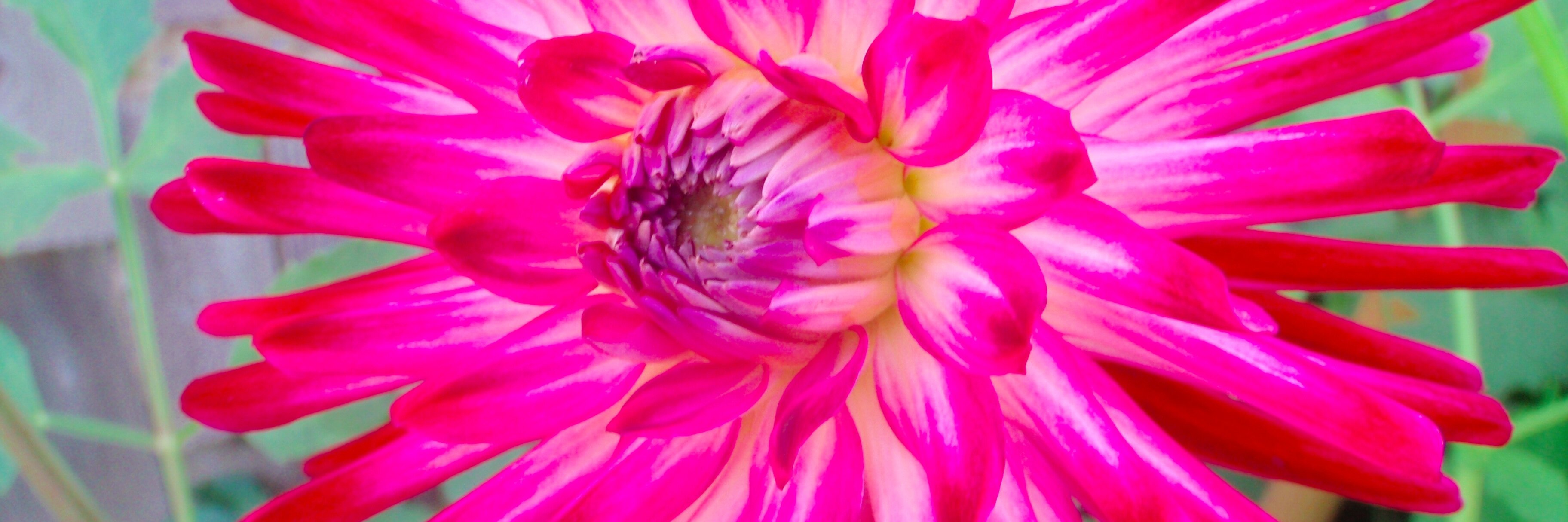 lindsanneb's profile banner image