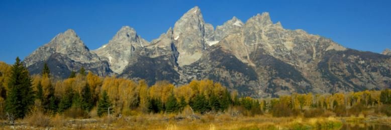 Engineered Gentleman banner