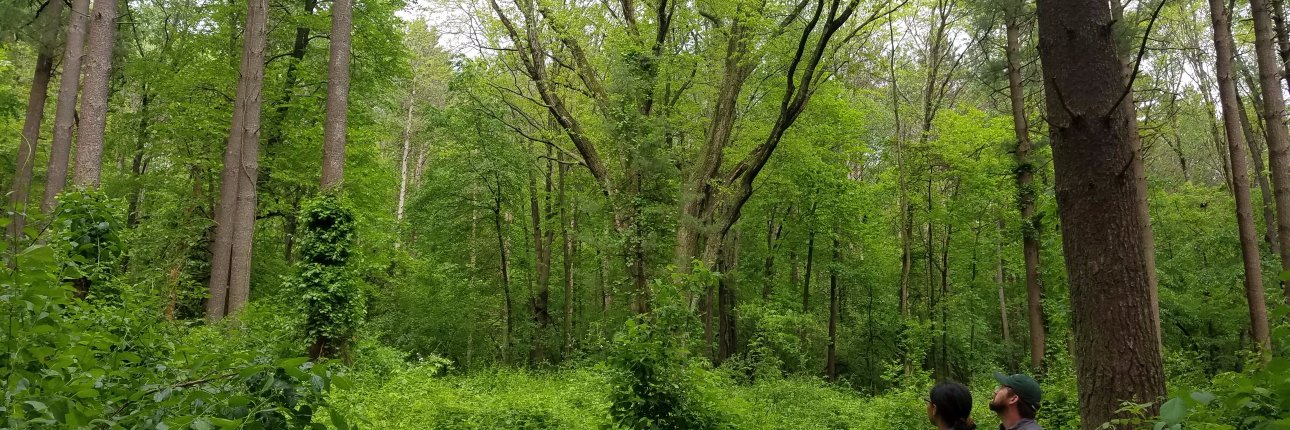 Gabriela Shirkey banner