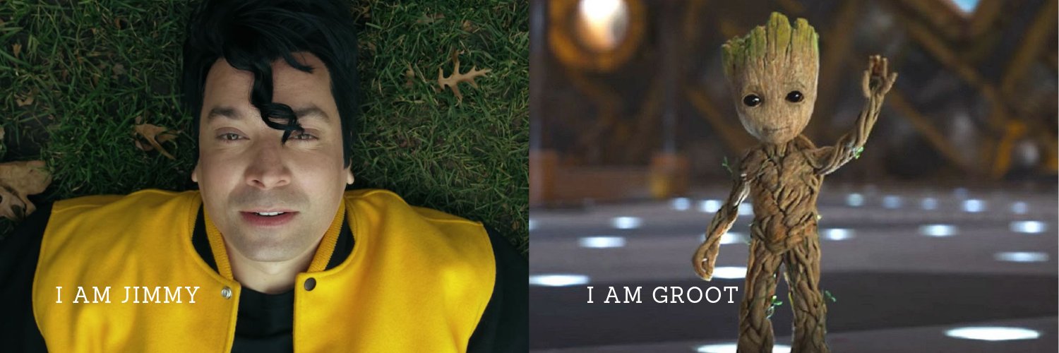 FallonOverboard's profile banner image