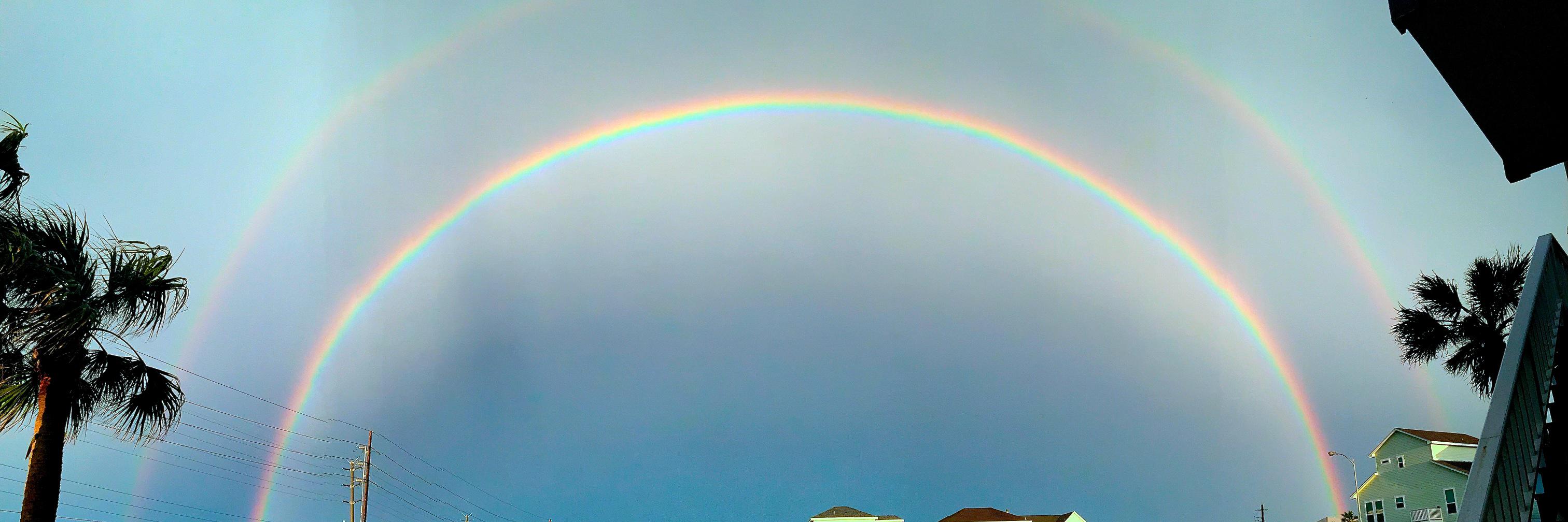 cmcwilliams's profile banner image