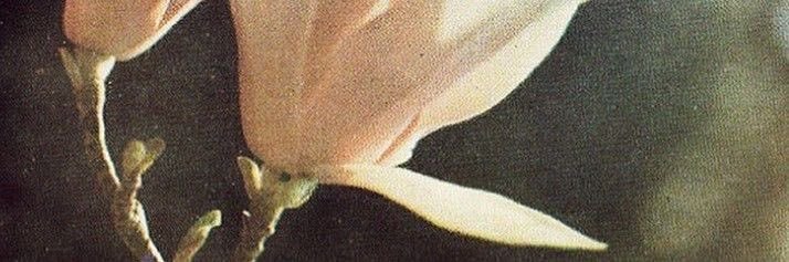 ltgng's profile banner image