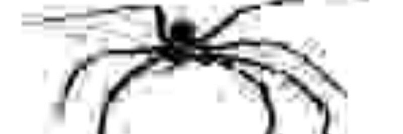 Order_Canceled's profile banner image
