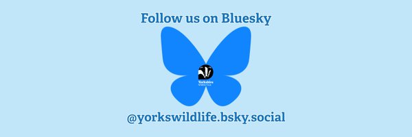 YWTPottericCarr Profile Banner