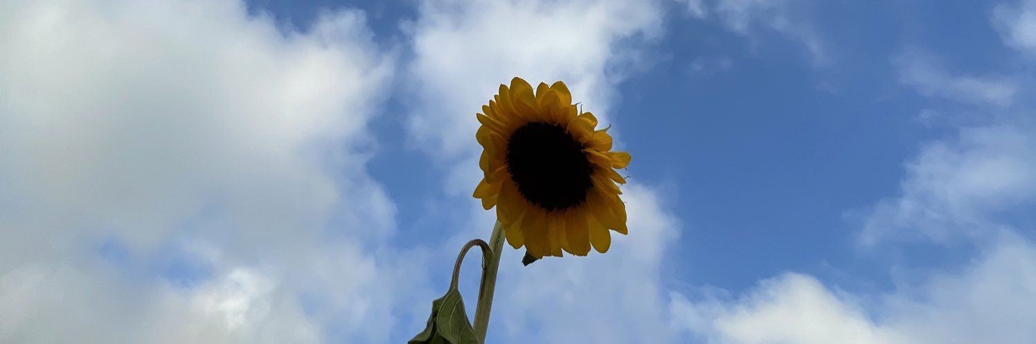 Samuele Barbetta banner
