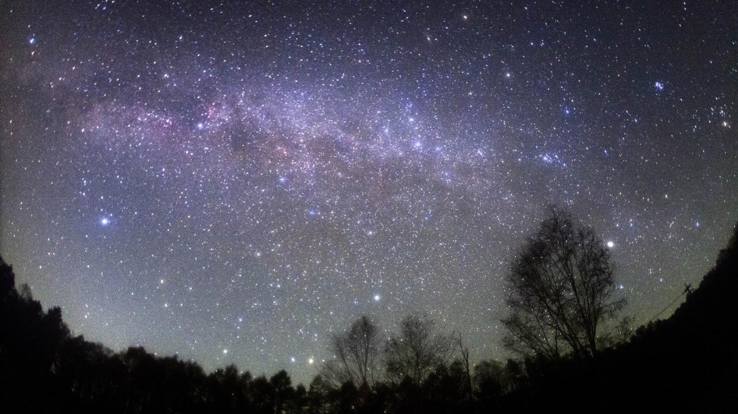 チーフマーク banner