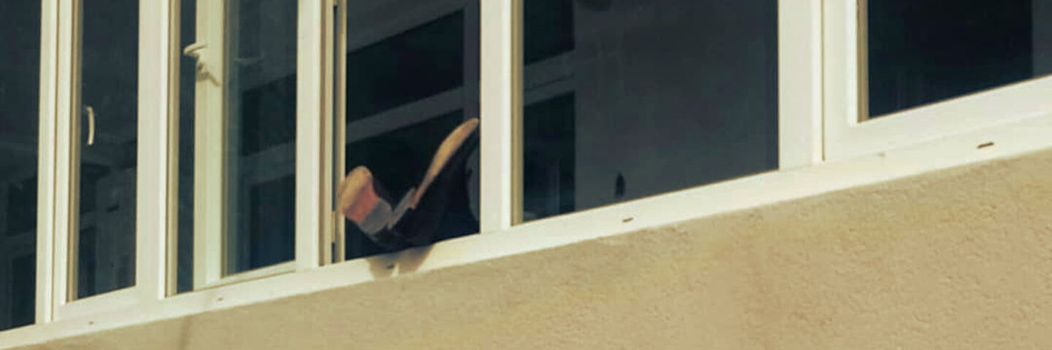 melotoninn's profile banner image