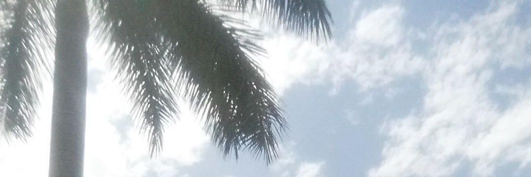 rosio banner