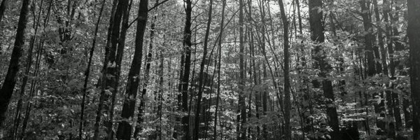 julius_fs Profile Banner