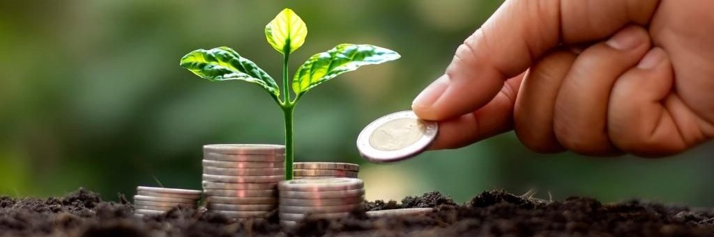 Shubham Ningudgekar banner