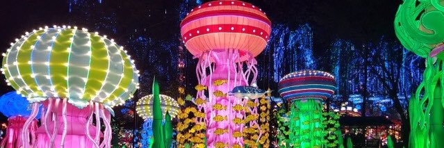 magicallogical's profile banner image