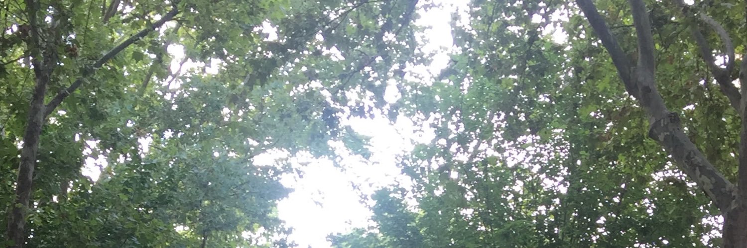 Francisco Rivera banner