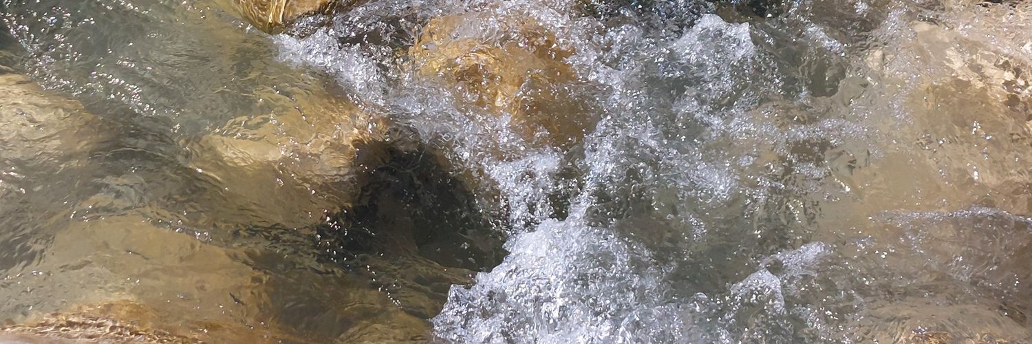 kami banner