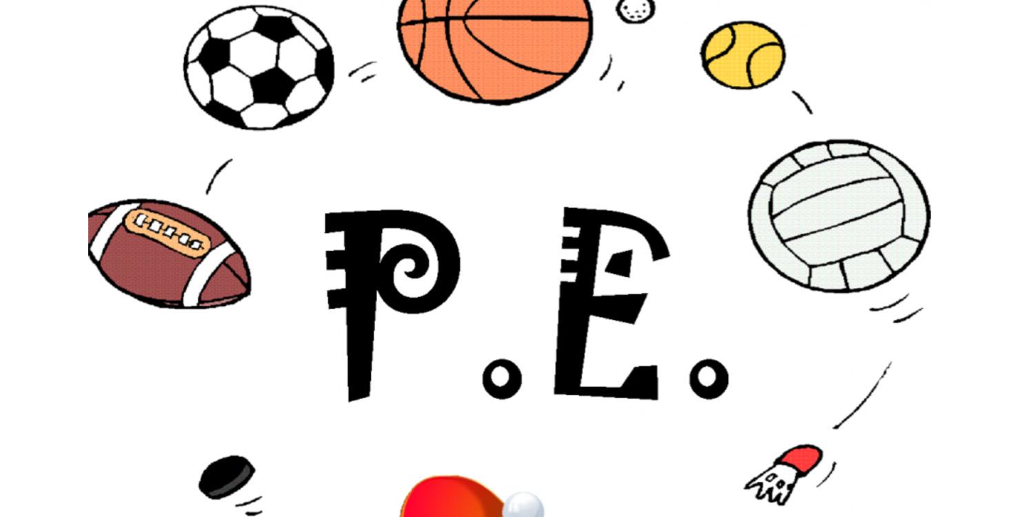 Bay View PE Dept banner