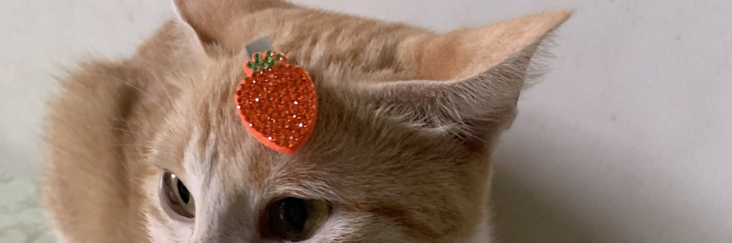 Abacate95's profile banner image