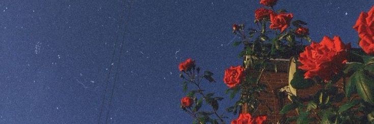 mandsiris's profile banner image