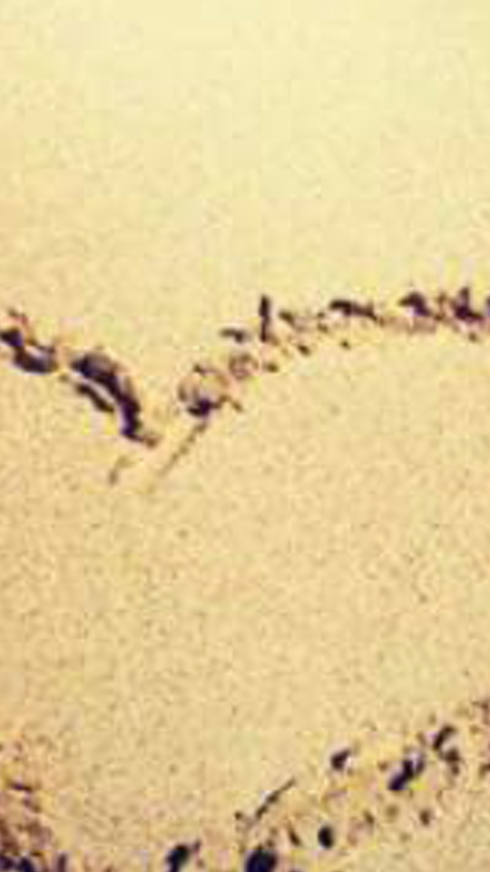 ClaraBarraza's profile banner image