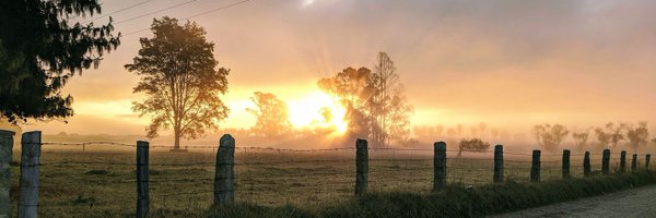 nanitah9 Profile Banner