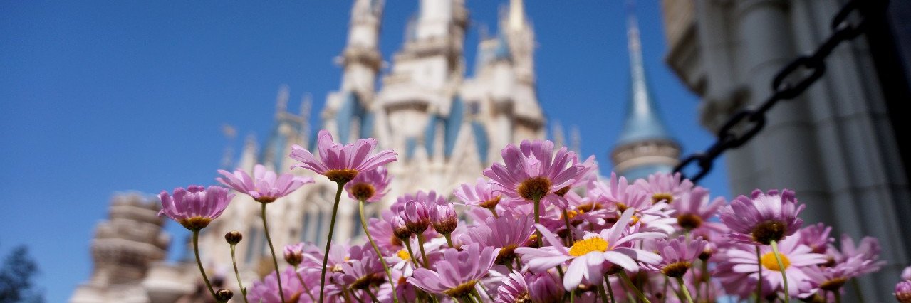 deepdisney's profile banner image