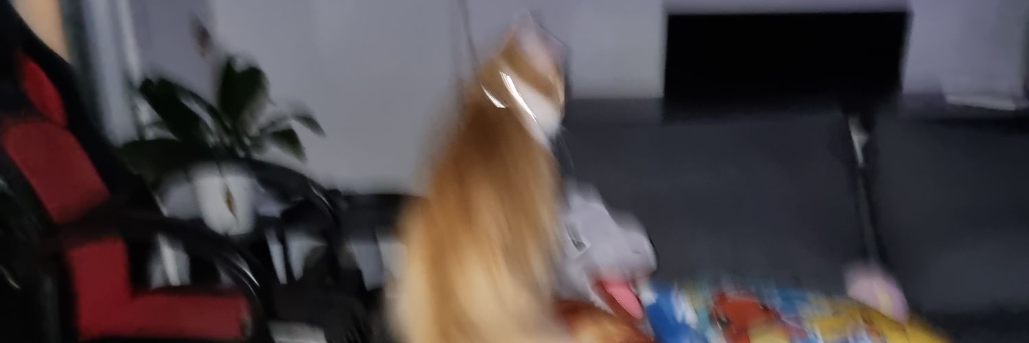 Rat banner