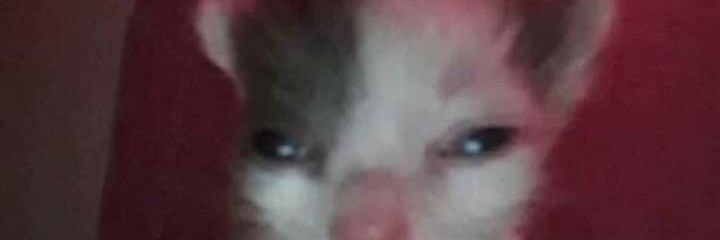 angiee022's profile banner image