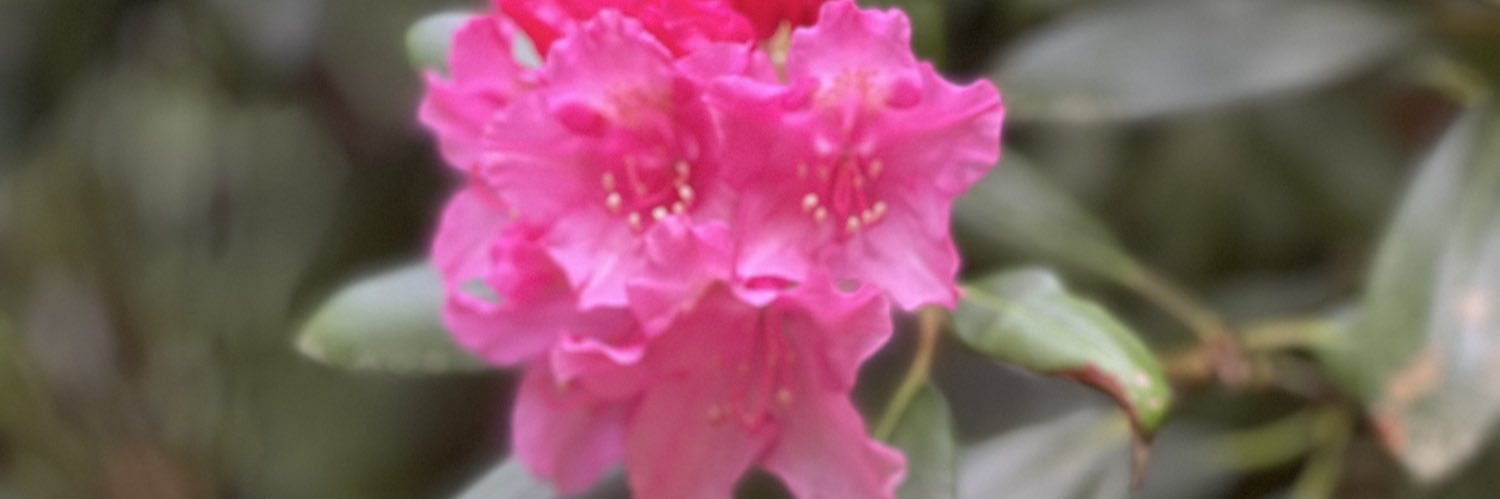 VBhardwaj05's profile banner image