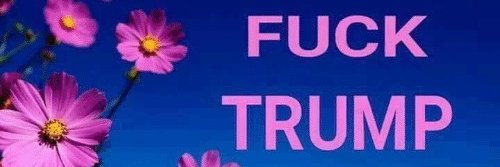 WhisperLuvsDemocracy 🦅🇺🇸💙🌊🇺🇦 banner