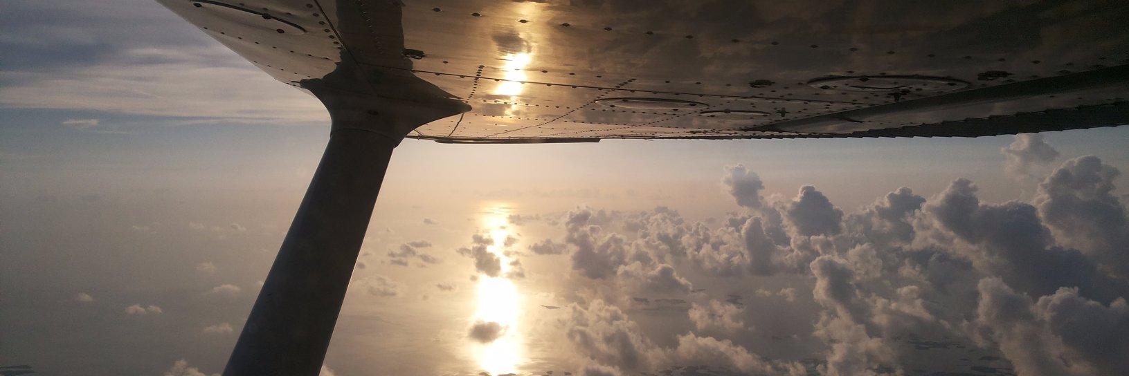 Orlando Suárez banner