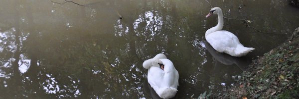 punkstta Profile Banner