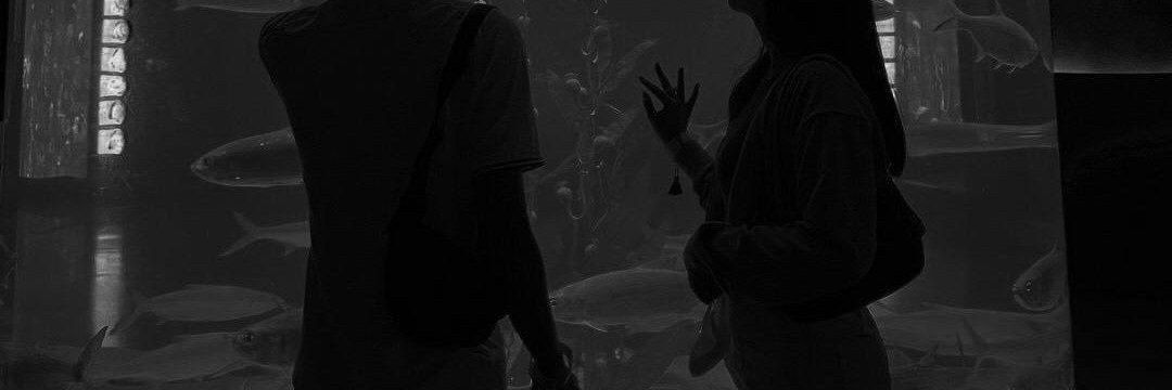 𝐀dnëy .⋆ ❁ banner