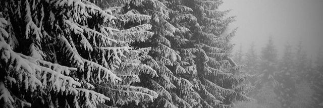 skelejohn_'s profile banner image