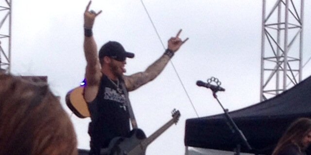 Nicole D Rollyson banner