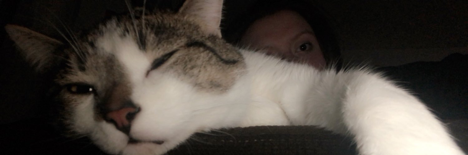 katter21's profile banner image