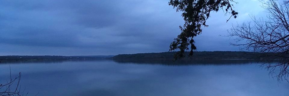 Daphna Stroumsa, MD banner