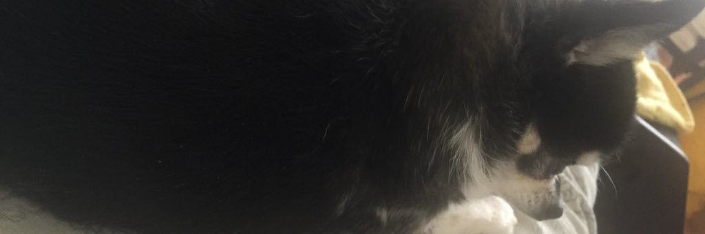 mdelalto's profile banner image
