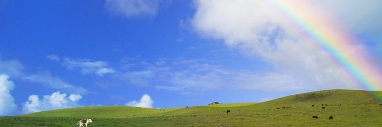 khiteredmine's profile banner image