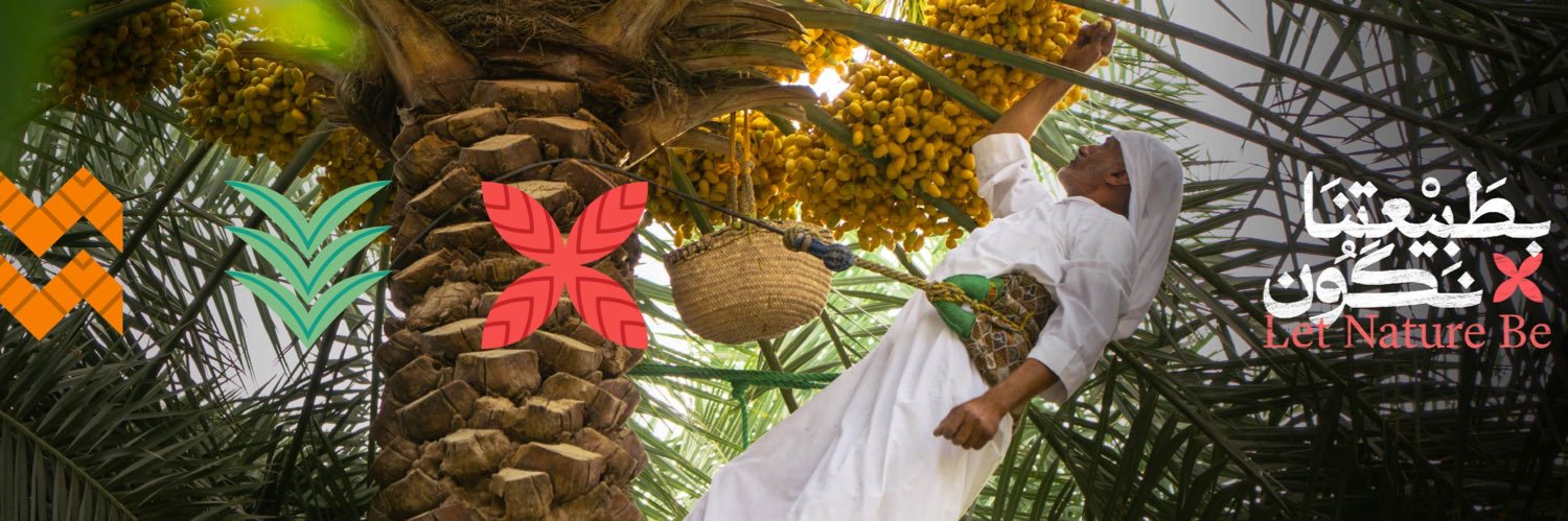 محمد مرغلاني | Mohammed Marghalani banner