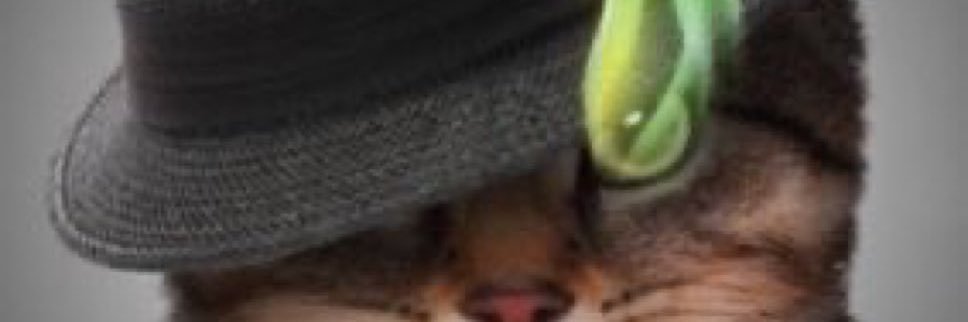 poncuswalb's profile banner image