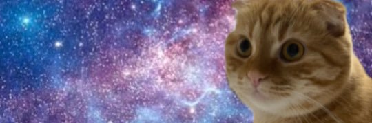 integuratyper's profile banner image