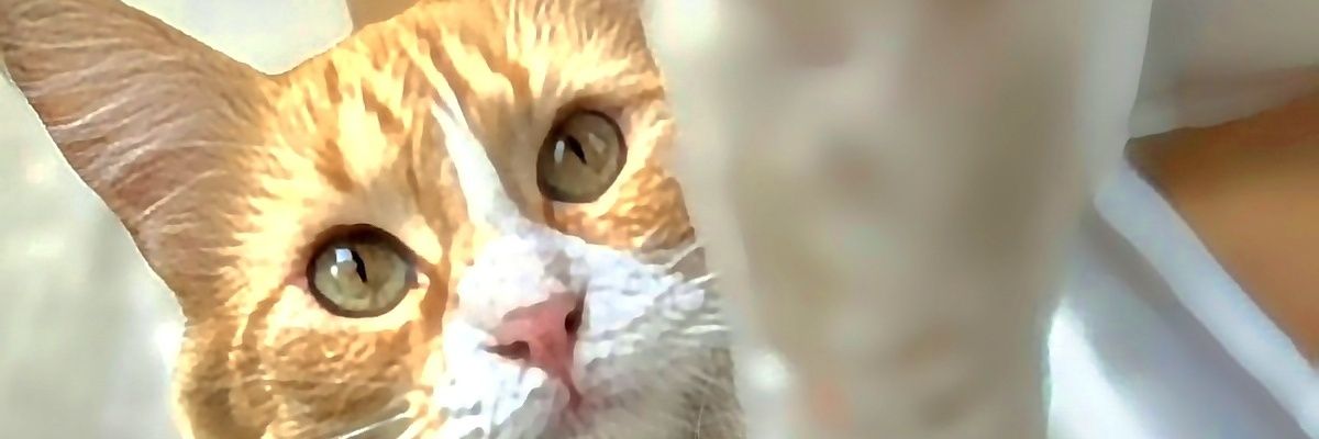Marco_P13's profile banner image