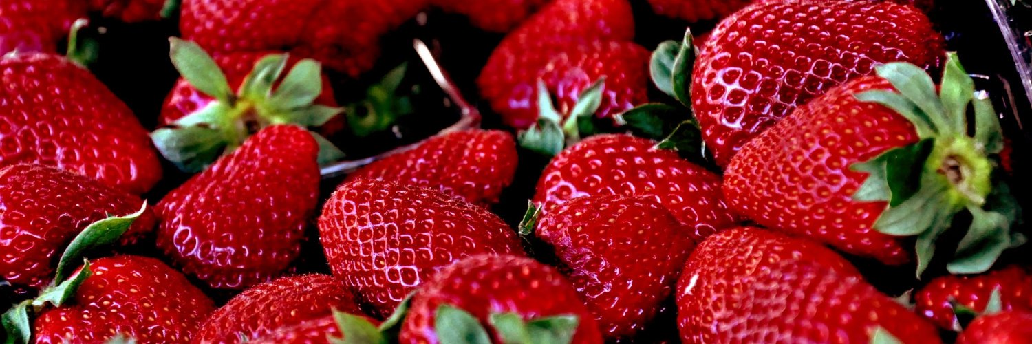 💀DakaShark🍓's banner